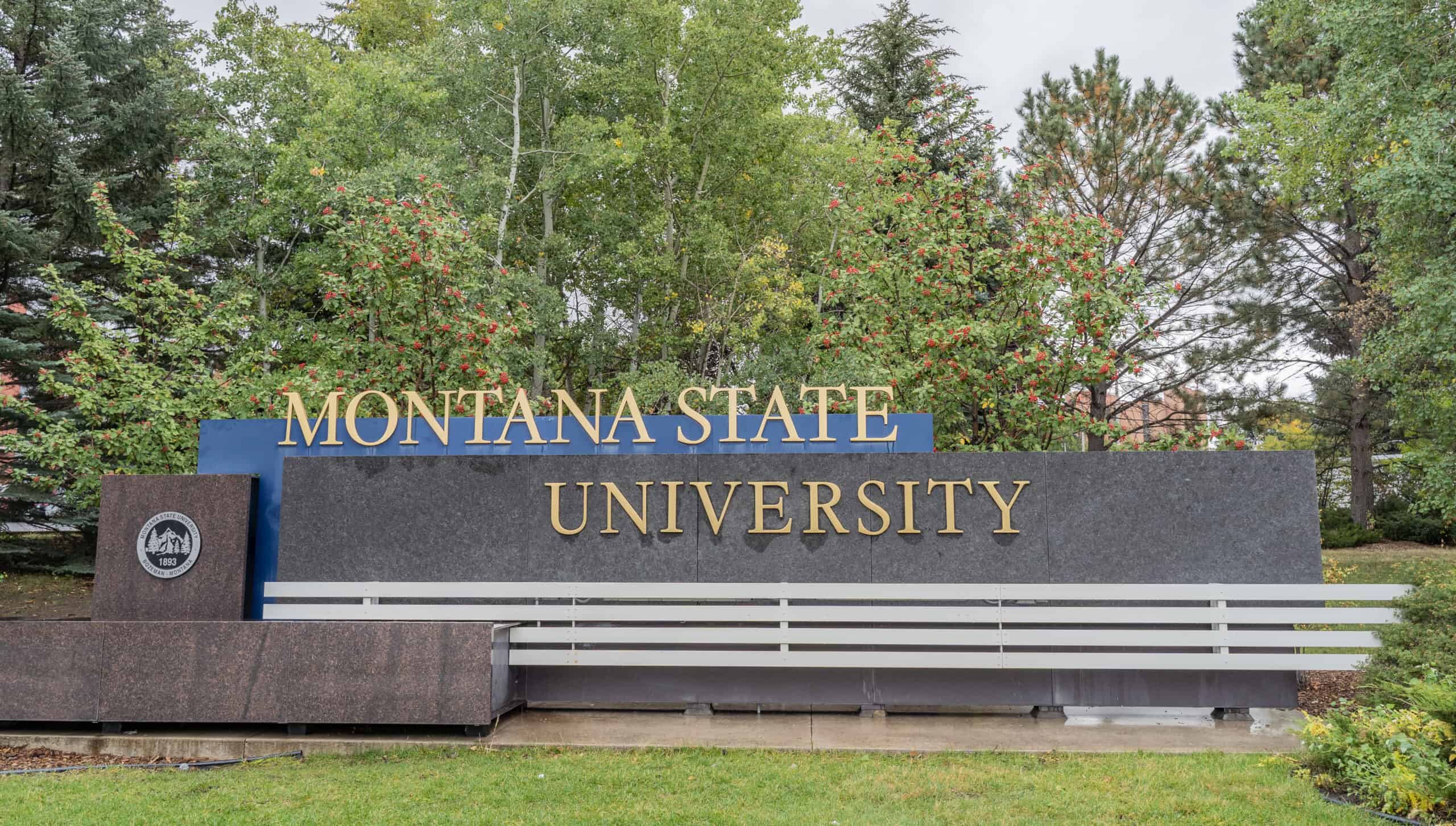 Montana State University Sign