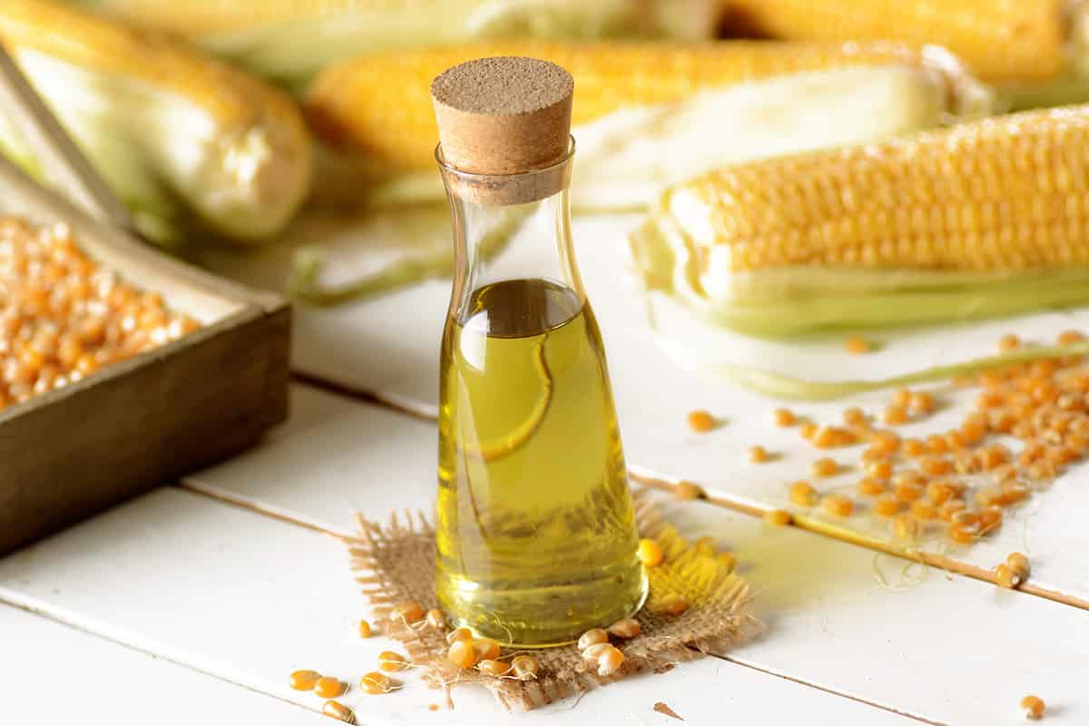 corn oil in the bottle with the cobs around
