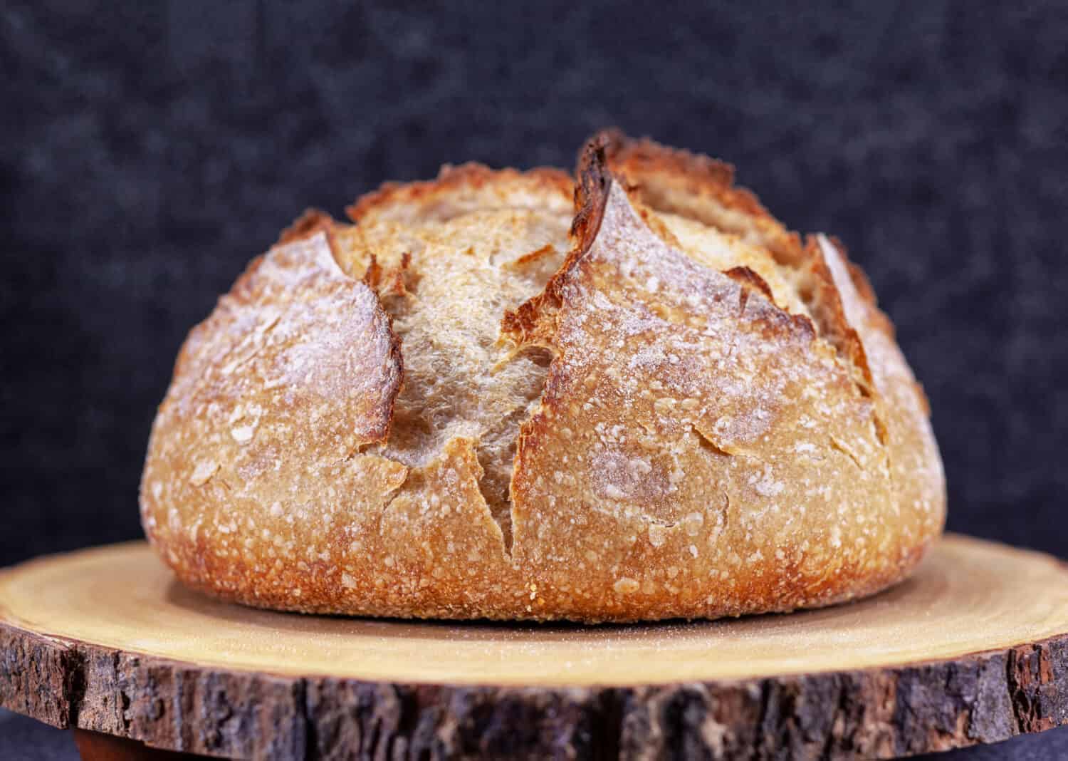 Artisan loaf of traditional Homemade sourdough Boule bread with crust on a wooden board