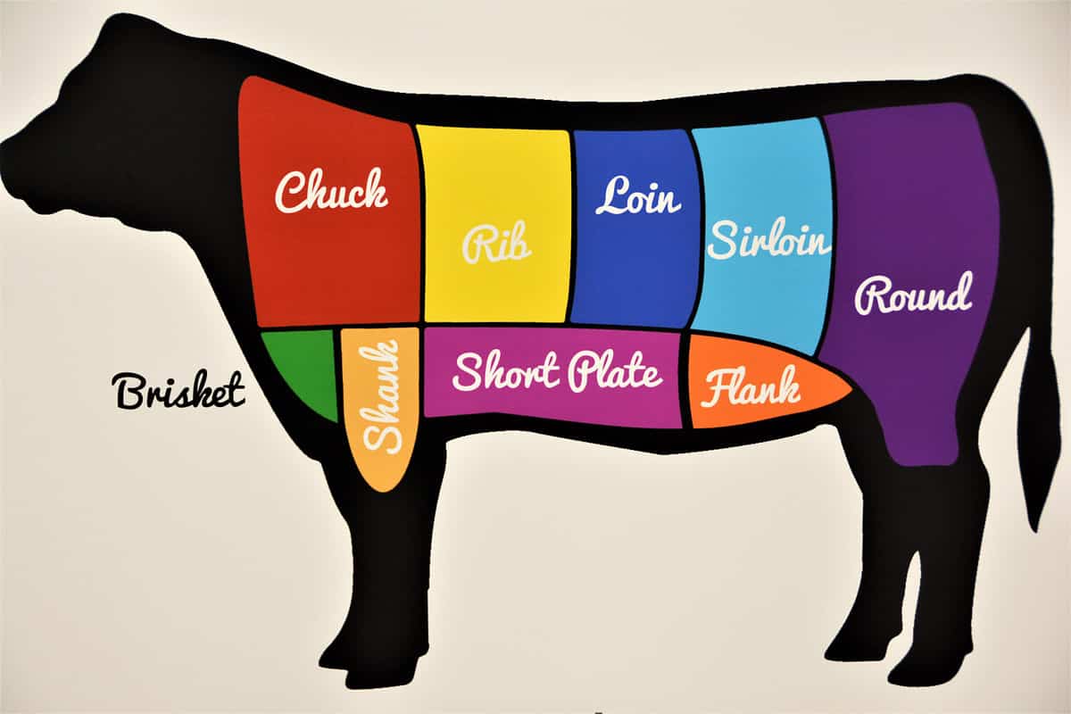 Diagram showing the different cuts of beef and where they come from on a cow.