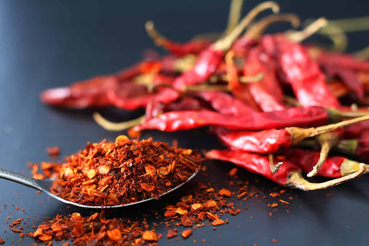 selective focus cayenne pepper on metal spoon and dried red chili on dark background.