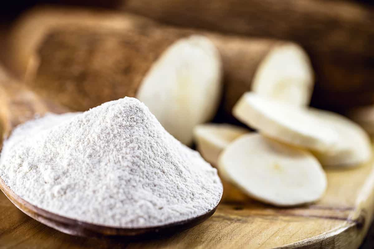 wooden spoon with manioc flour. Root used in Brazilian cuisine, called macaxeira, cassava, castelinha, uaipi, sweet cassava, maniva, maniveira and poor bread.