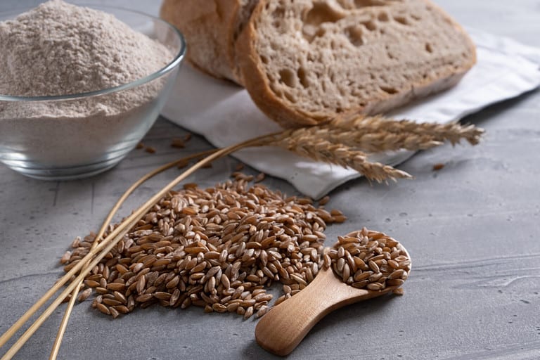 Whole wheat bread vs white bread the 3 main differences