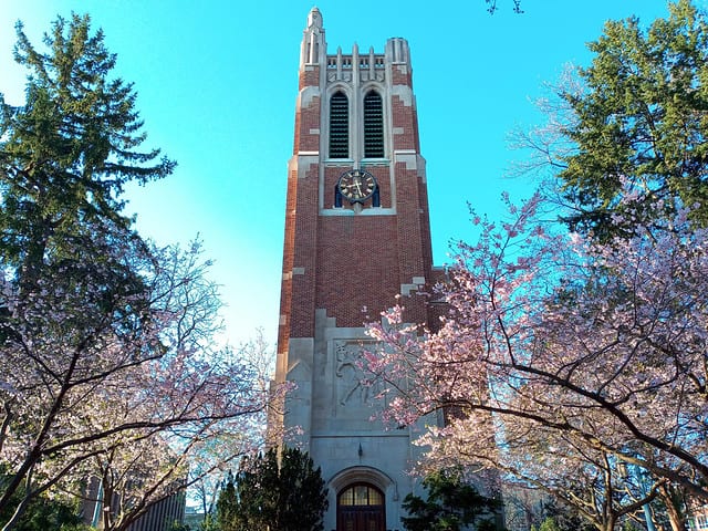 East Lansing, Michigan, USA - April, 9, 2021: Beaumont Tower, symbol of Michigan State University, in early spring. Blue cloudless sky, pink cherries about to bloom. No people.
