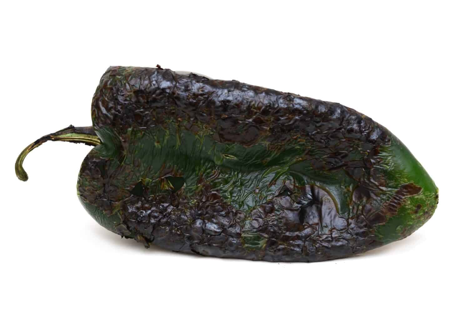 Grilled poblano pepper isolated on white