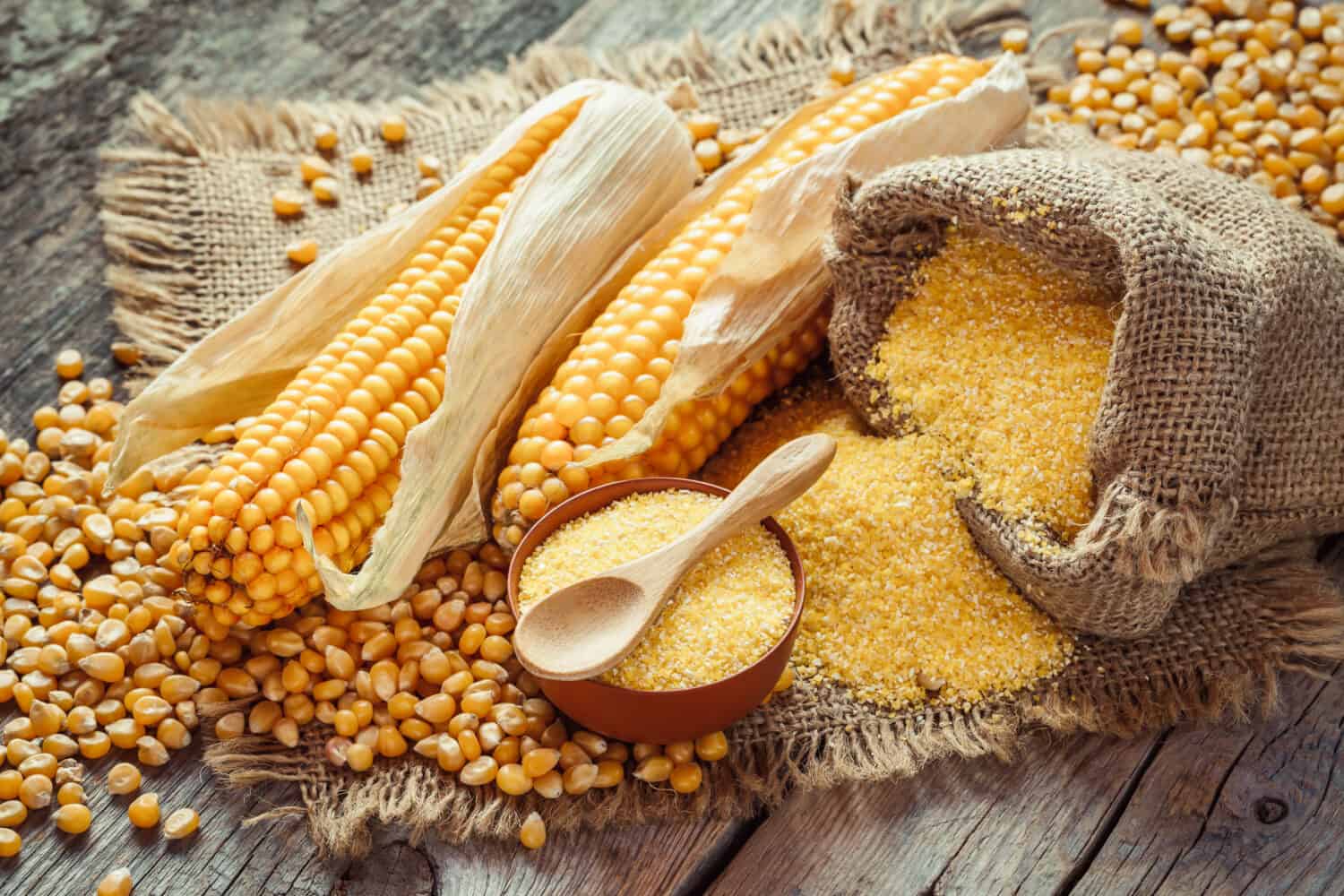 Corn groats and seeds, corncobs on wooden rustic table. Selective focus