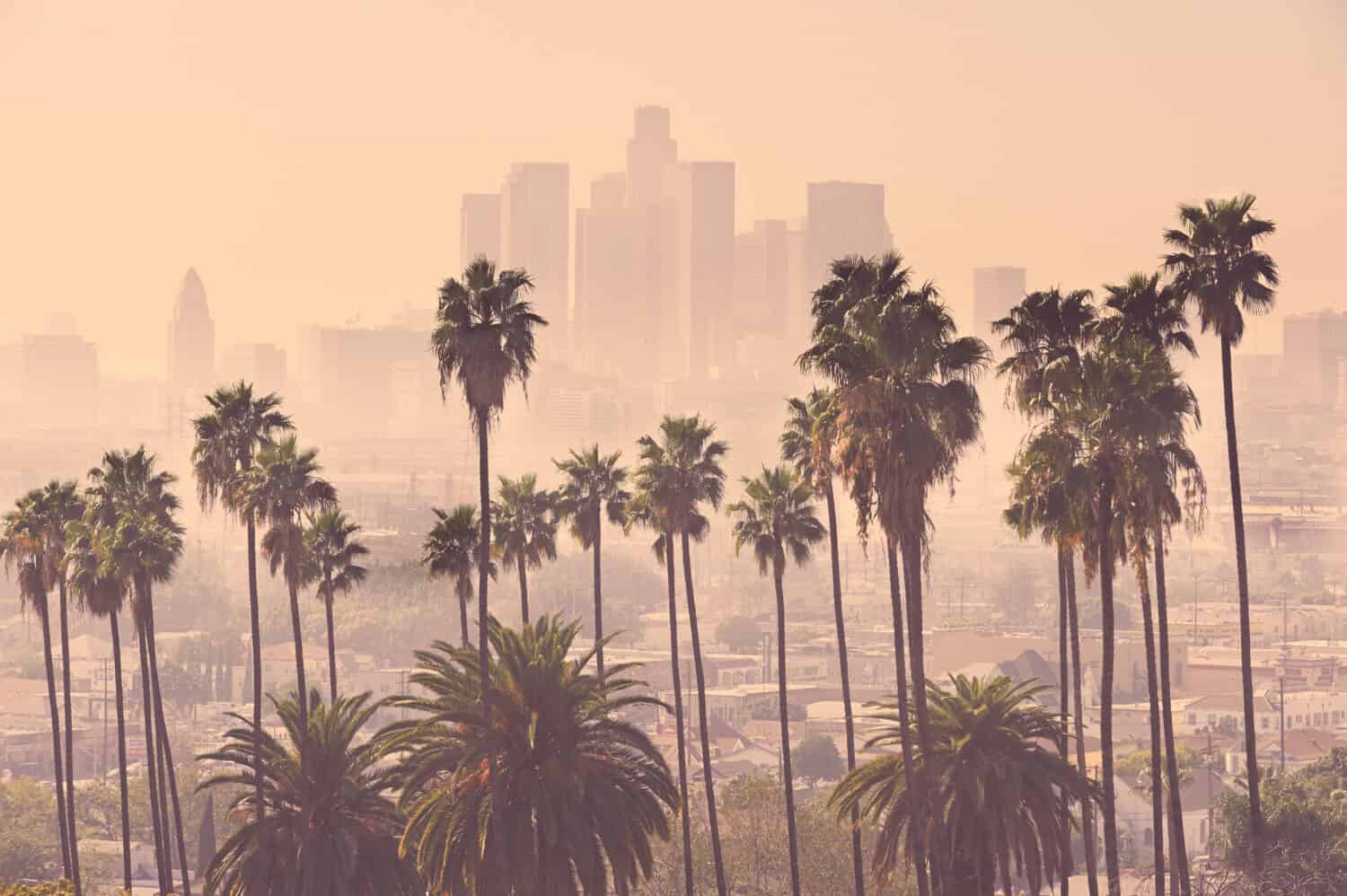 Los Angeles skyline with palm trees in the foreground