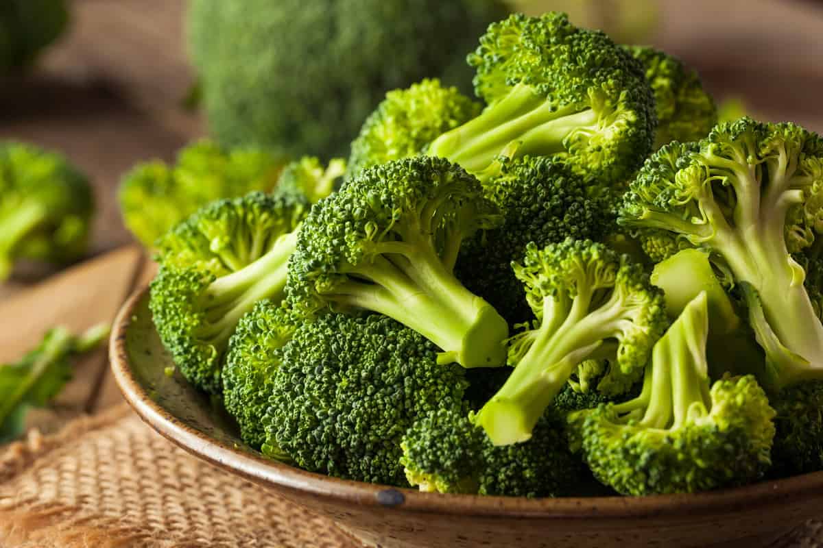 Healthy Green Organic Raw Broccoli Florets Ready for Cooking