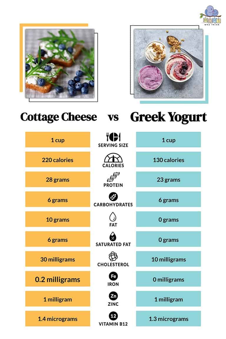 Cottage Cheese Vs Greek Yogurt Full Health Comparison 3 Key Differences cottage-cheese-vs-greek-yogurt-full-health-comparison-3-key-differences