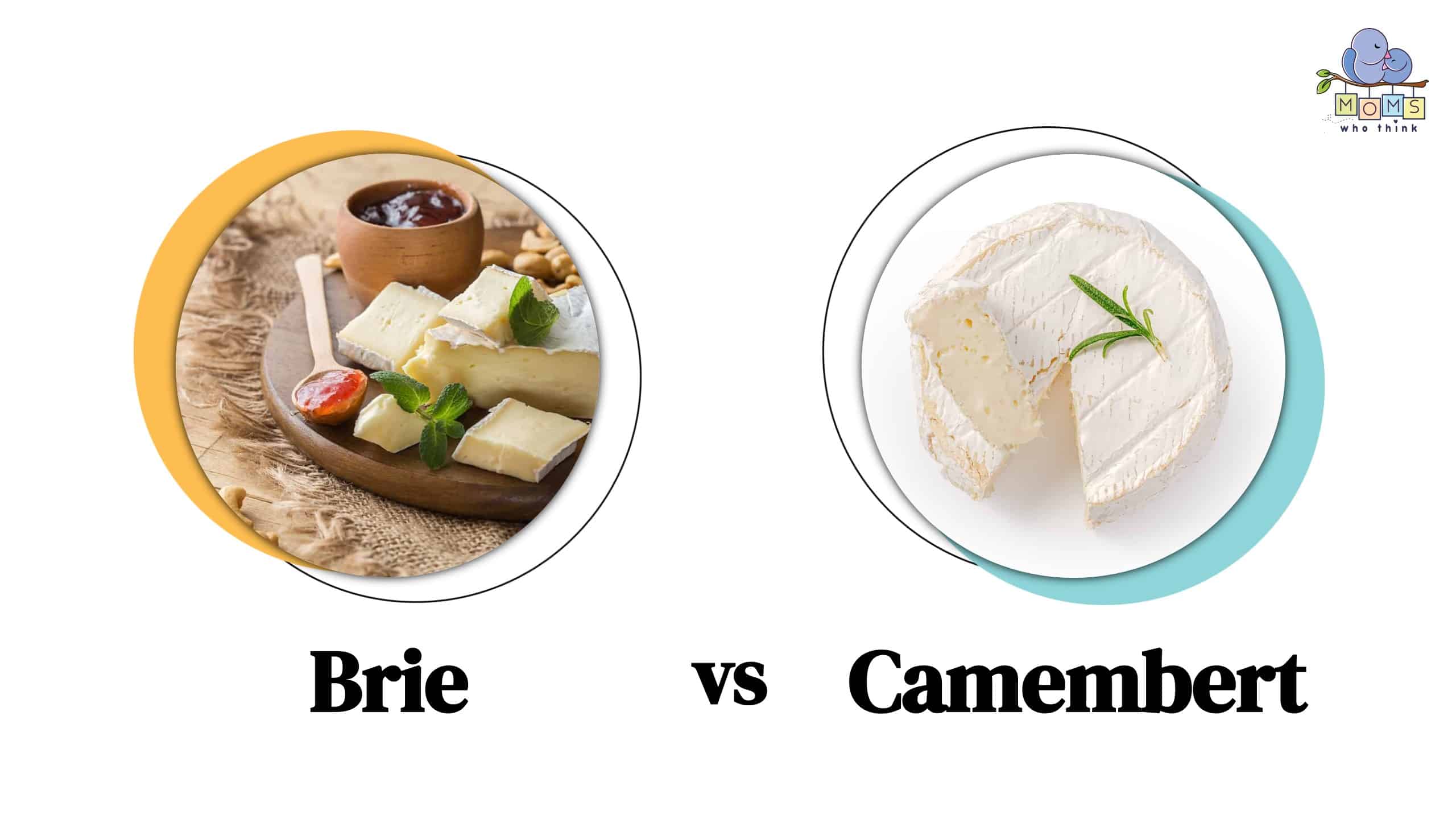 Brie vs Camembert Differences