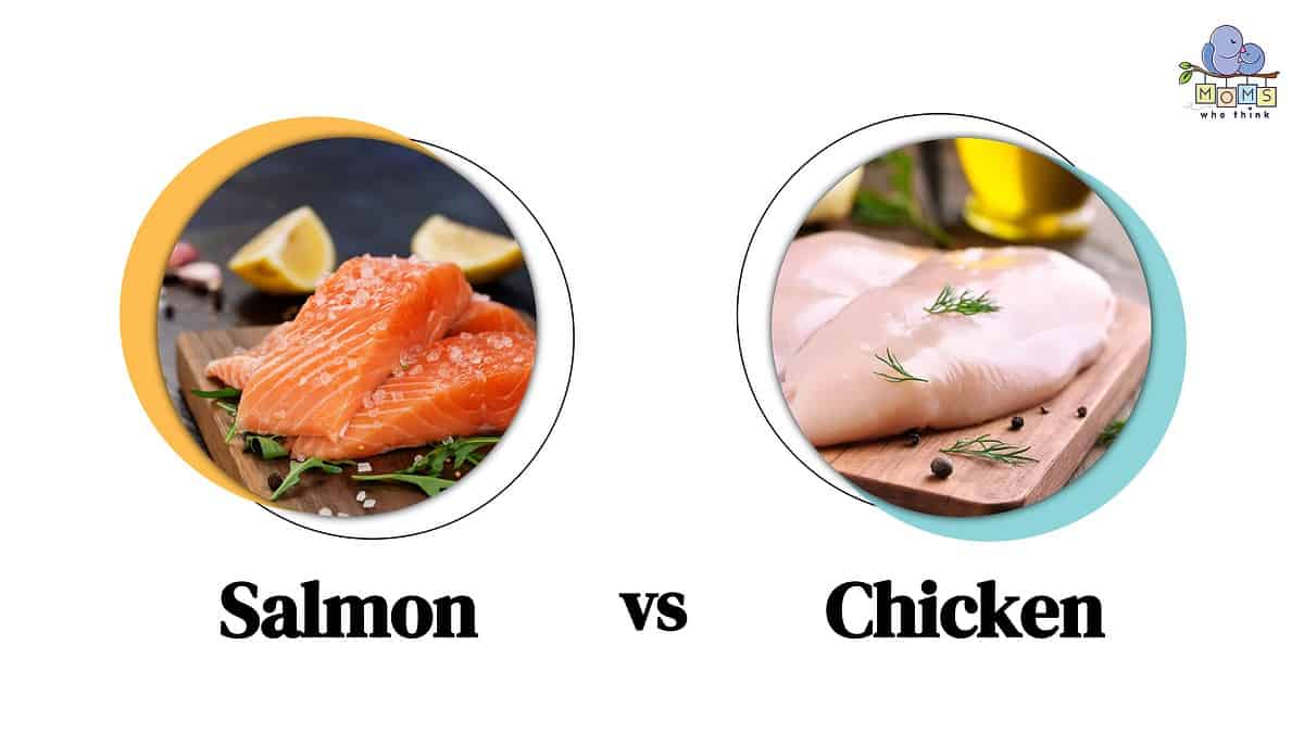 Salmon vs Chicken Differences