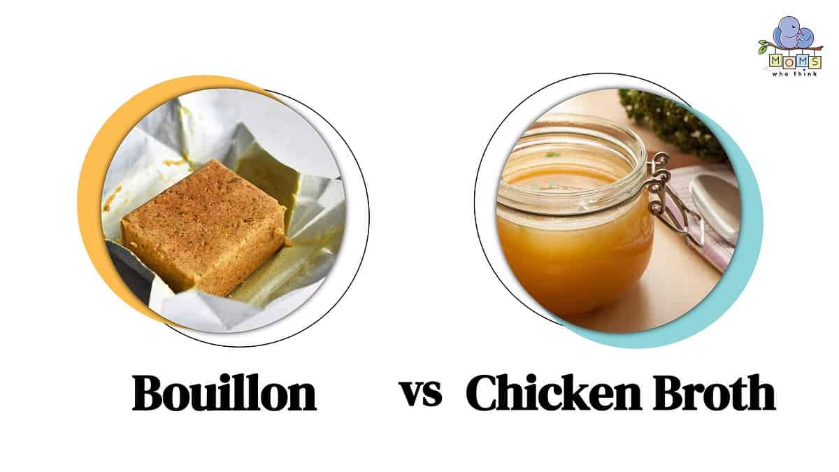 Bouillon vs Chicken Broth Differences