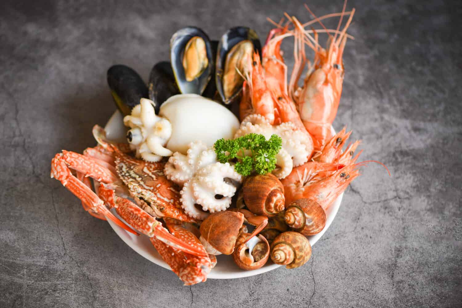 Seafood shrimps prawns squid mussels spotted babylon shellfish crab on plate and dark background / Cooked food served seafood buffet concept