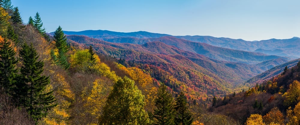 Autumn Scene in the Great Smoky Mountains National Park, valleys and peaks with trees colored red, orange, yellow, and some green pine trees