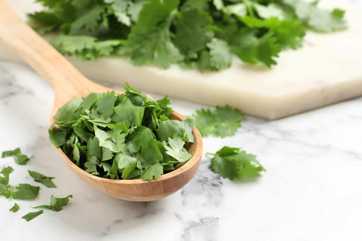 Cut fresh green cilantro and wooden spoon on white marble table, closeup. Space for text