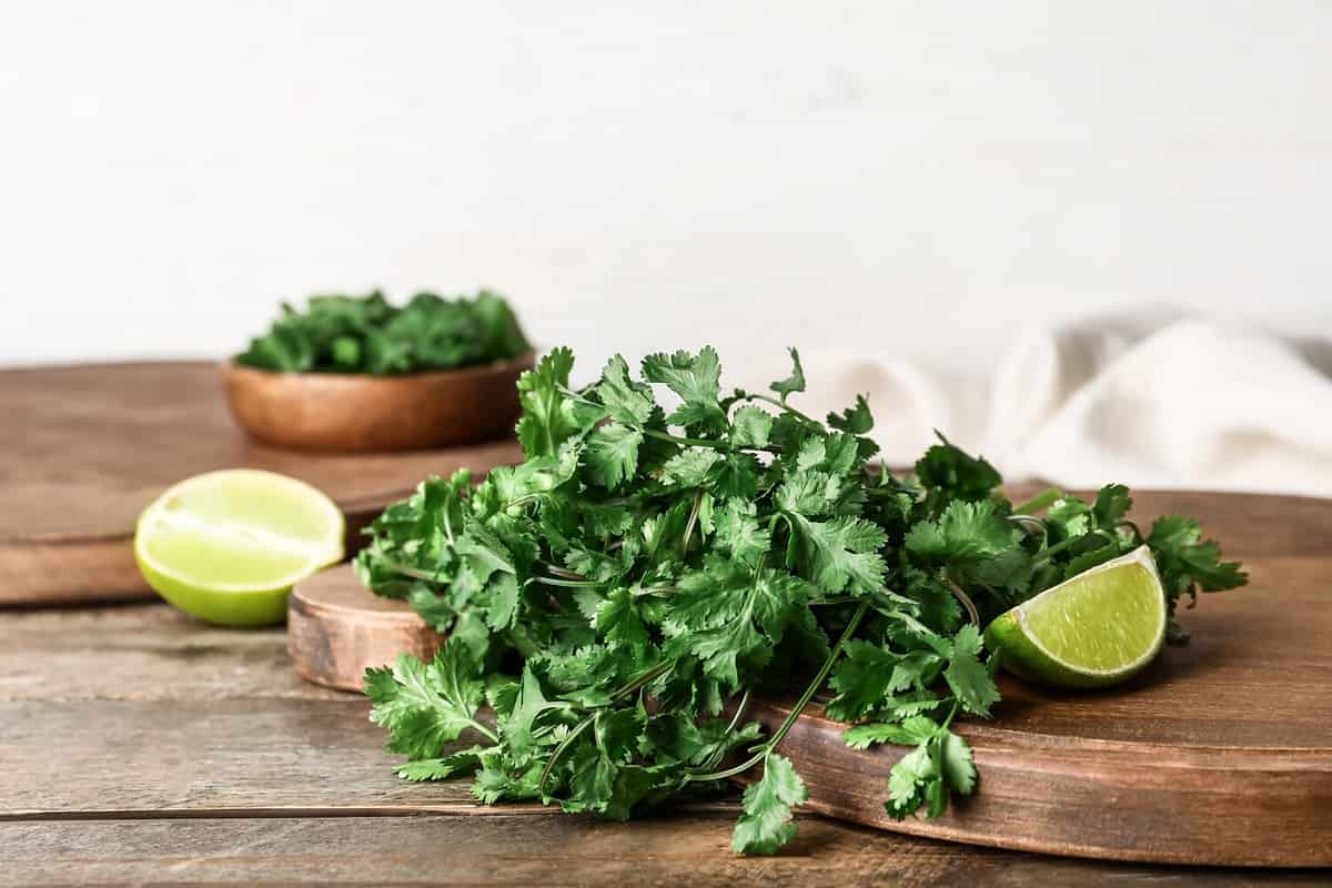 Boards with fresh cilantro and lime on wooden table