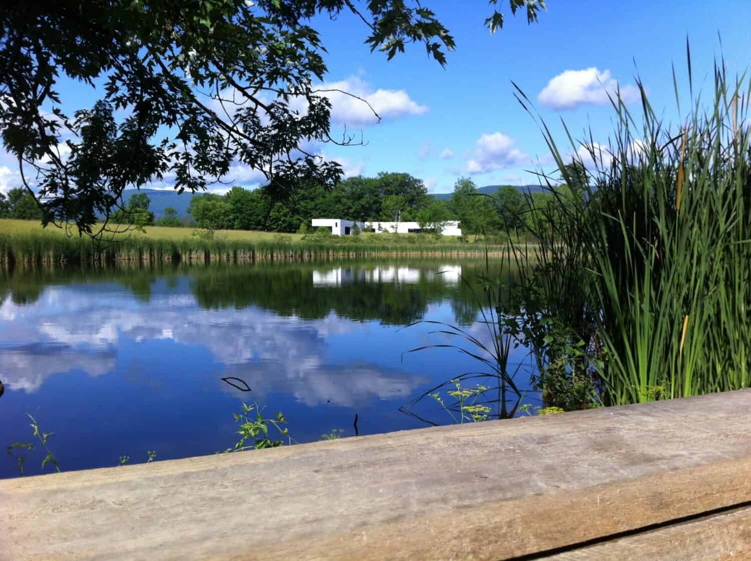 Center for the Advancement of Public Action at Bennington College reflected in Pond