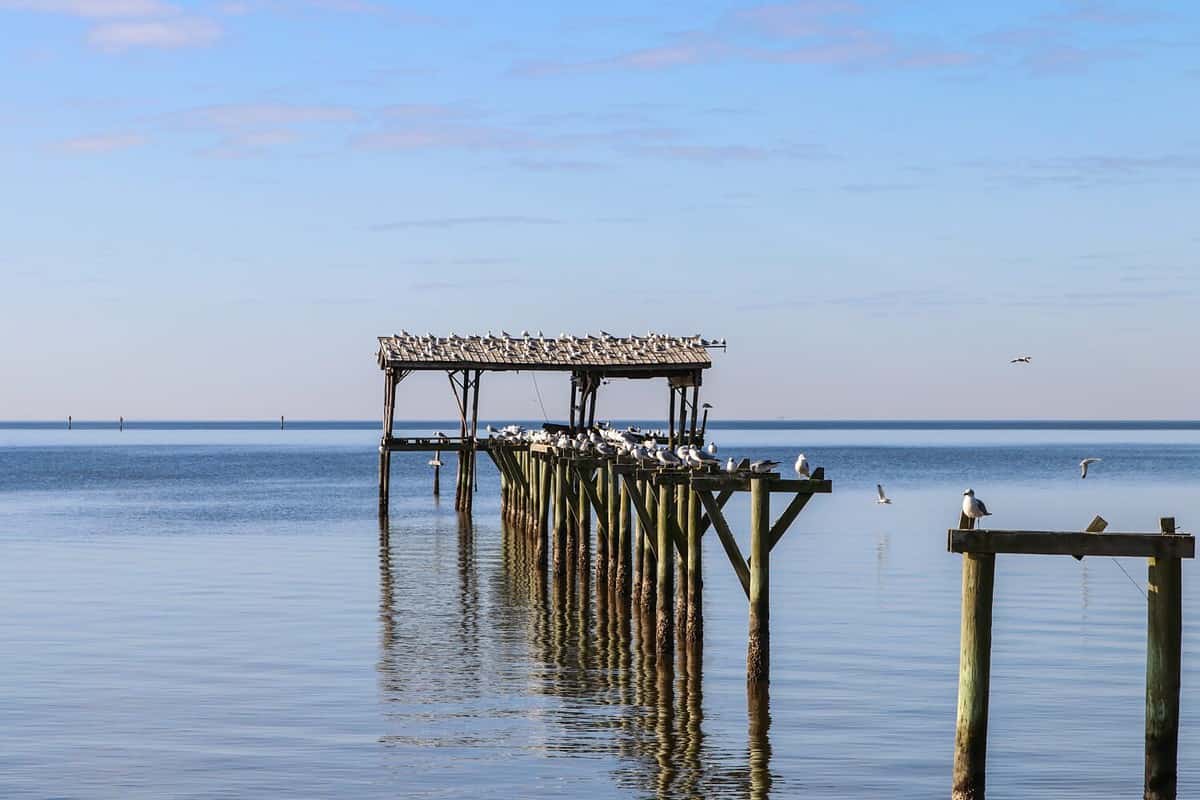An abandoned pier on Mobile Bay near Point Clear, Alabama