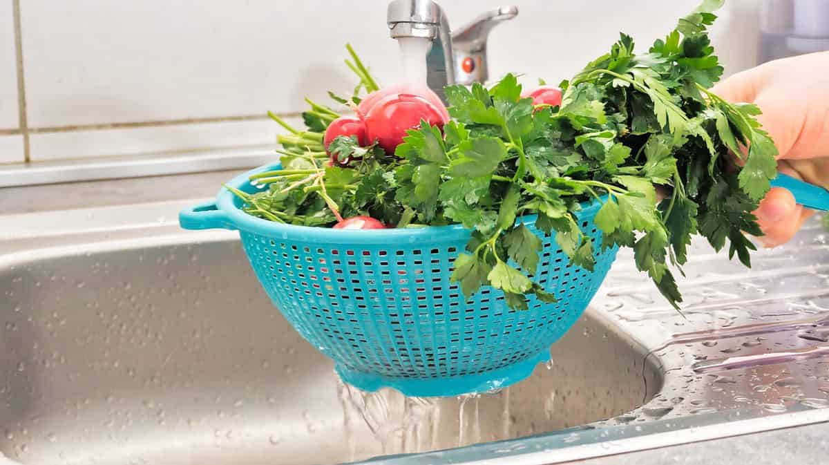 male hands holding plastic colander filled with fresh ripe vegetables and herbs under splashing water above kitchen sink where other vegetables are stored.