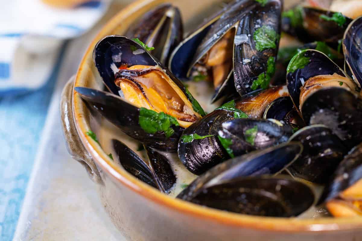 Steamed mussels in white wine sauce