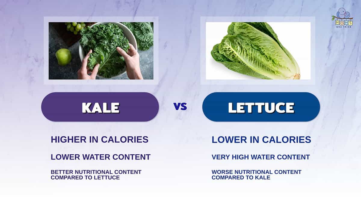 Infographic comparing kale and lettuce.