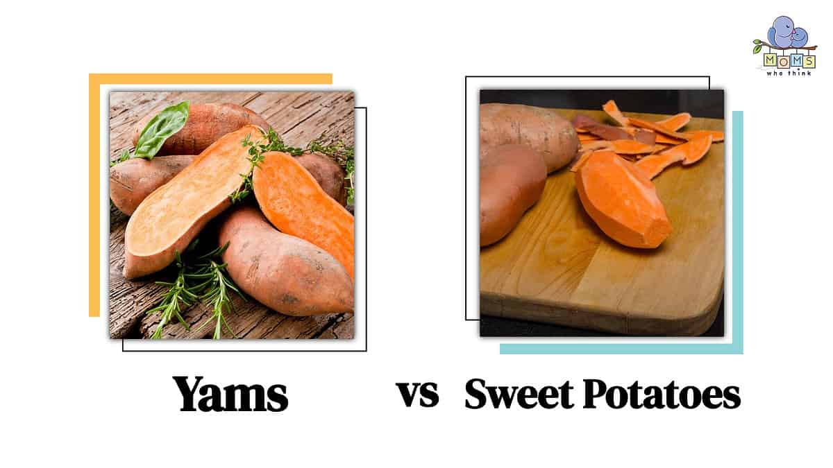 Yams vs Sweet Potatoes