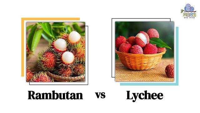 Rambutan vs Lychee