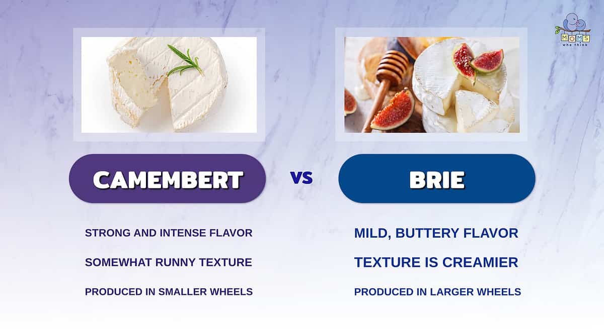 Infographic comparing camembert and brie.