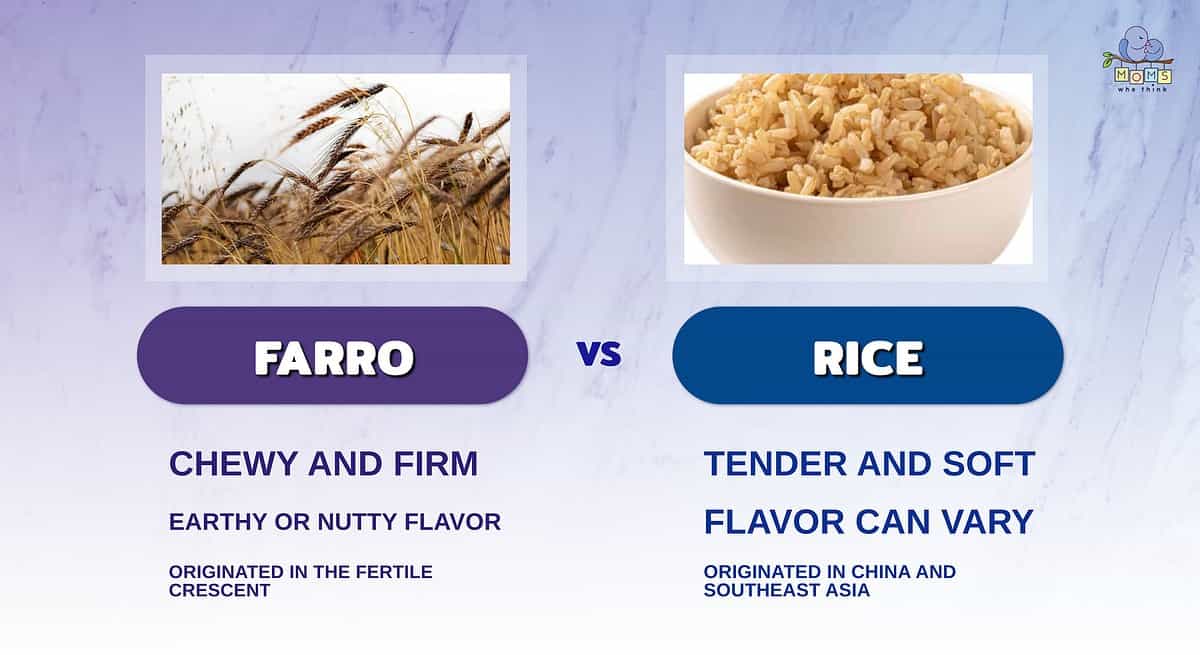 Infographic comparing farro and rice.