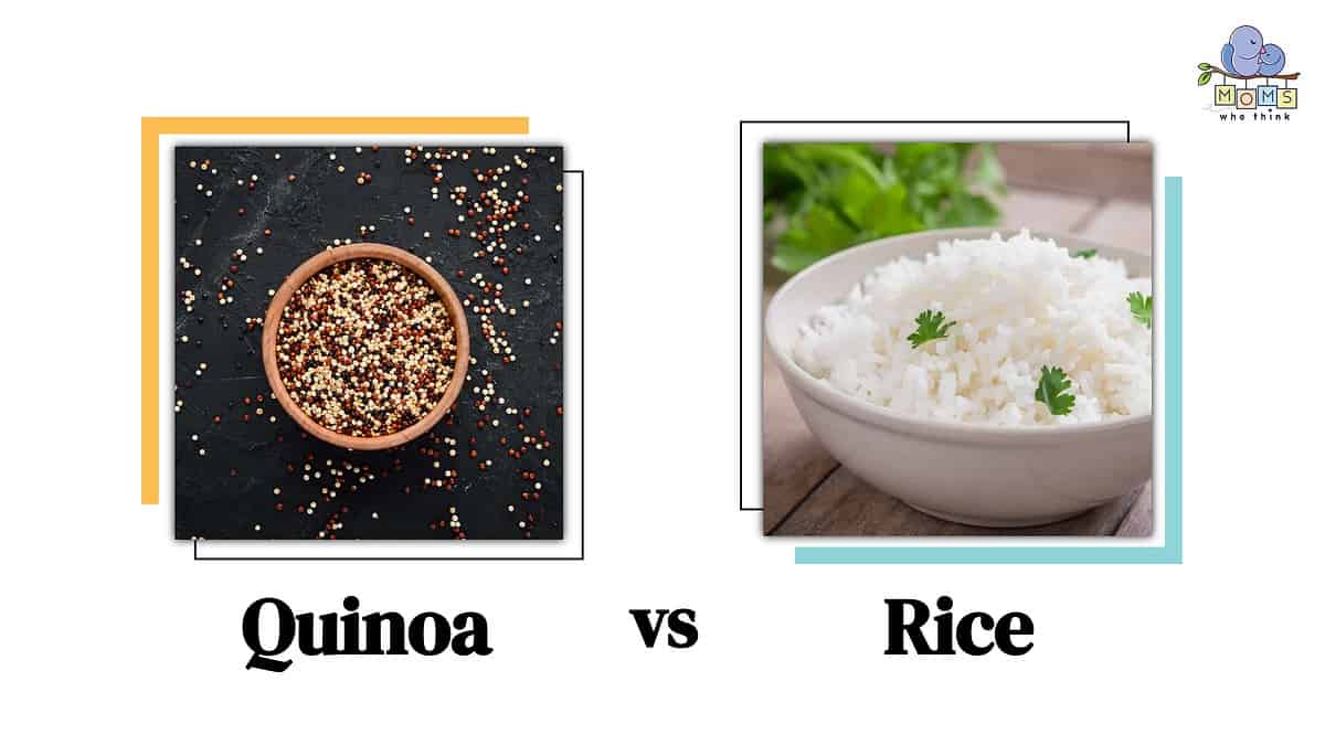 Quinoa vs Rice