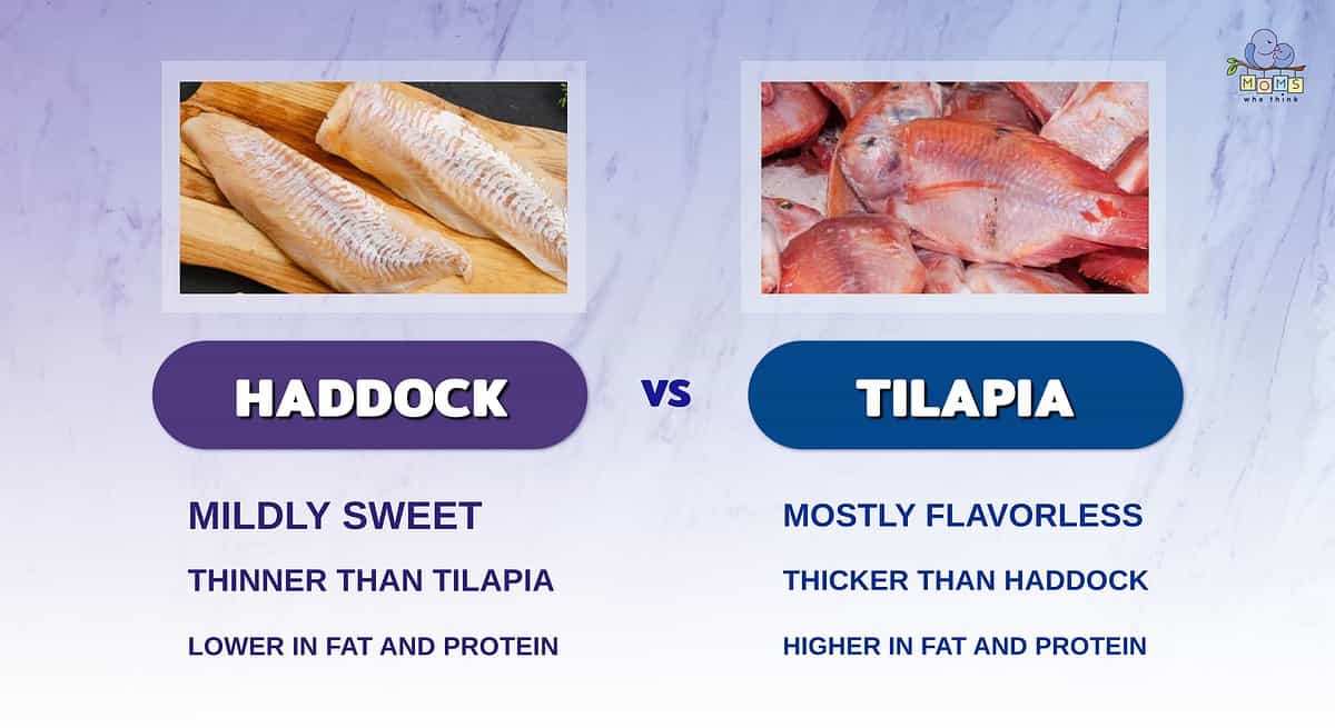 Infographic comparing haddock and tilapia.