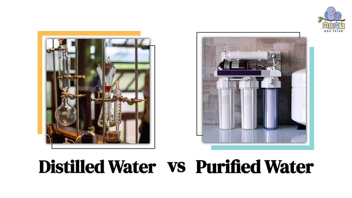 Distilled Water vs Purified Water