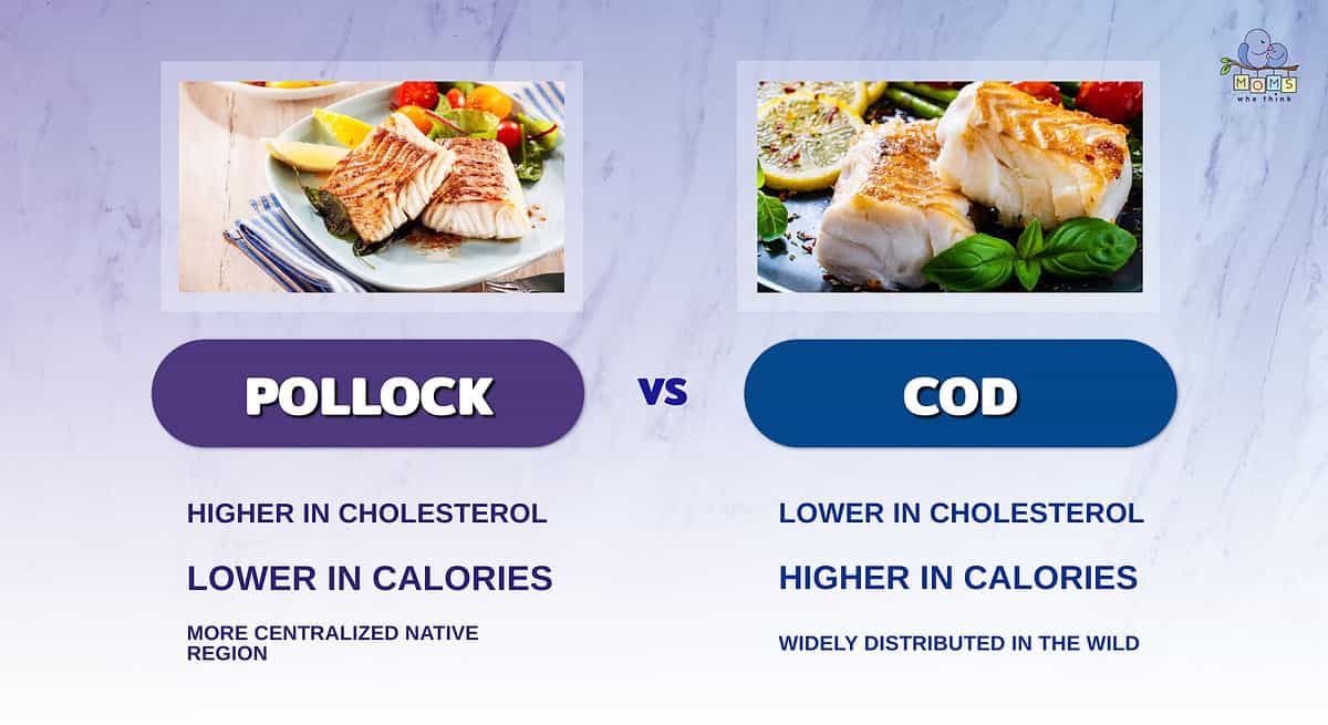 Infographic comparing pollock and cod.
