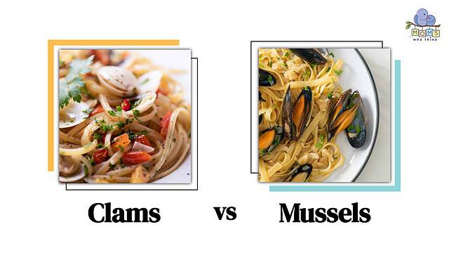 Clams vs Mussels
