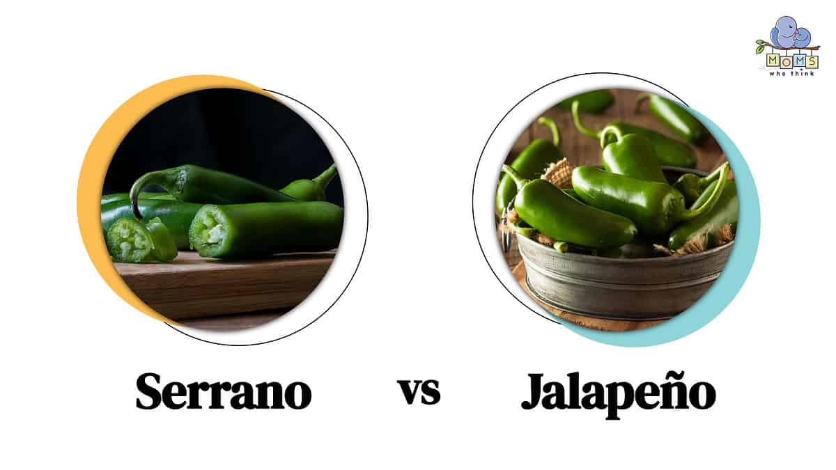 Serrano vs. Jalapeño Which is Hotter & 7 Key Differences