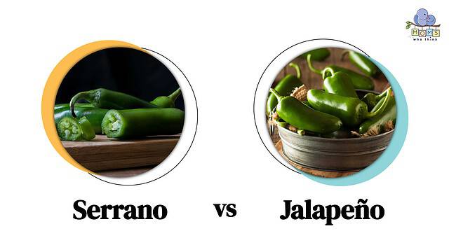 Serrano vs Jalapeño
