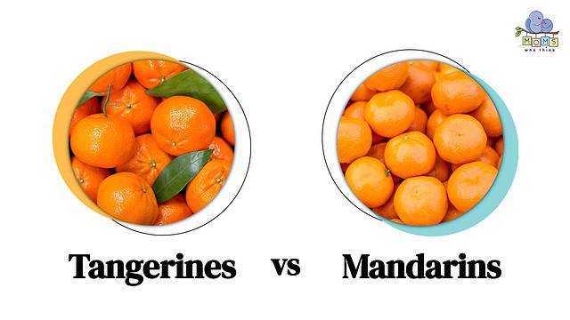 Tangerines vs Mandarins