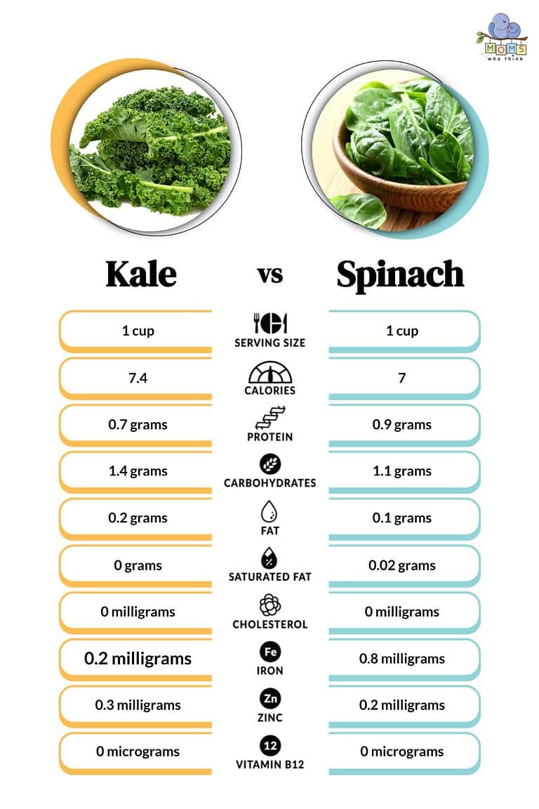 Kale vs. Spinach Key Differences and Nutritional Breakdown