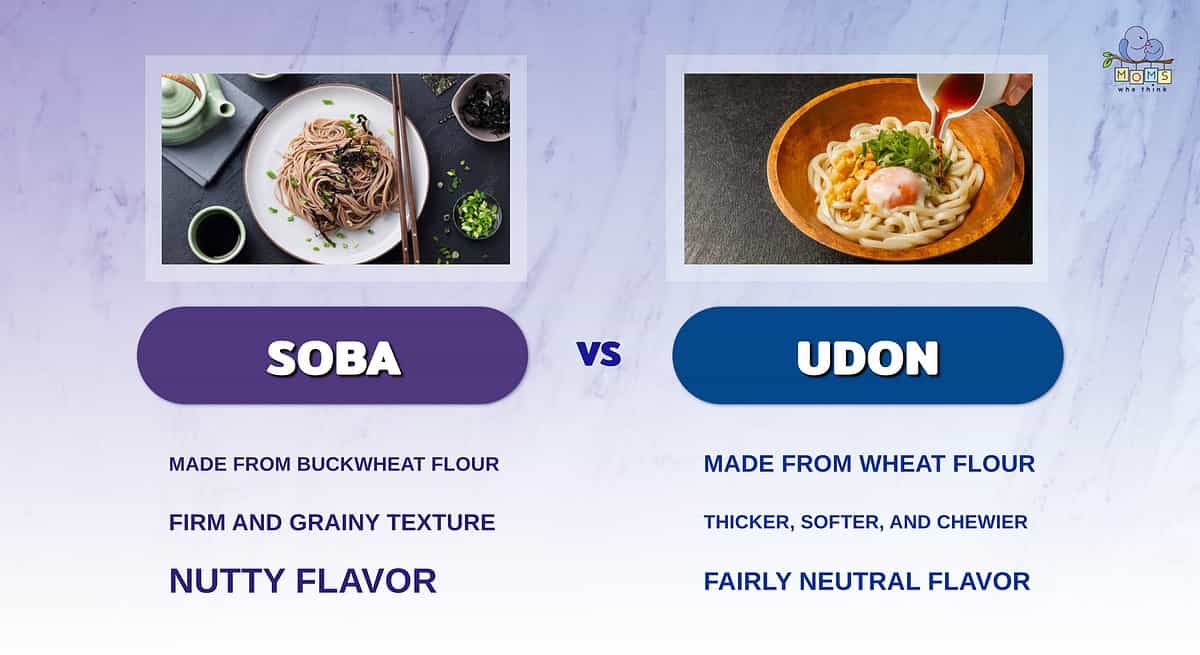 Infographic comparing soba and udon noodles.
