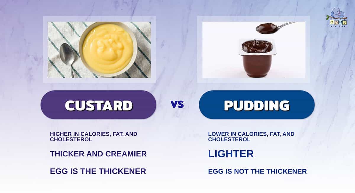 Infographic comparing custard and pudding.