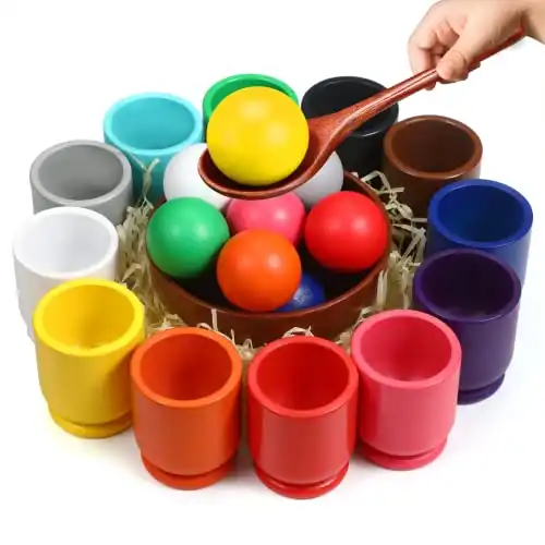Wooden Color Sorting Toy
