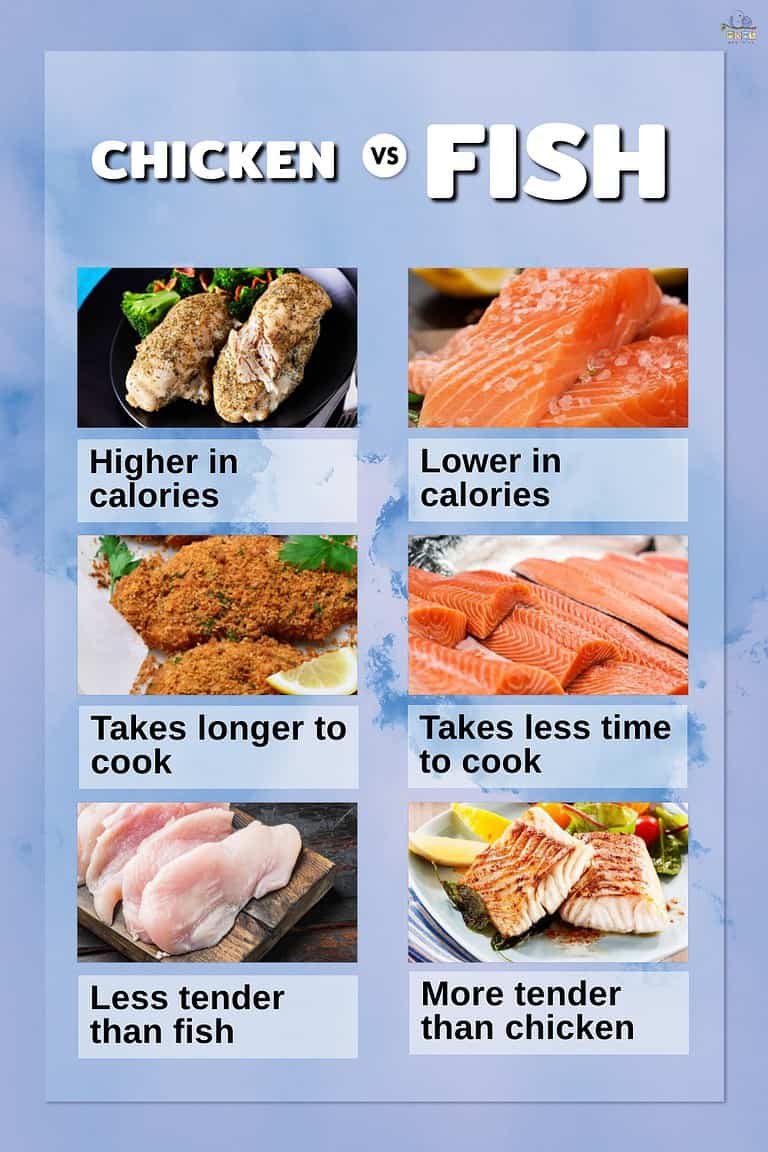 Fish vs. Chicken The Differences Between ProteinPacked Poultry and