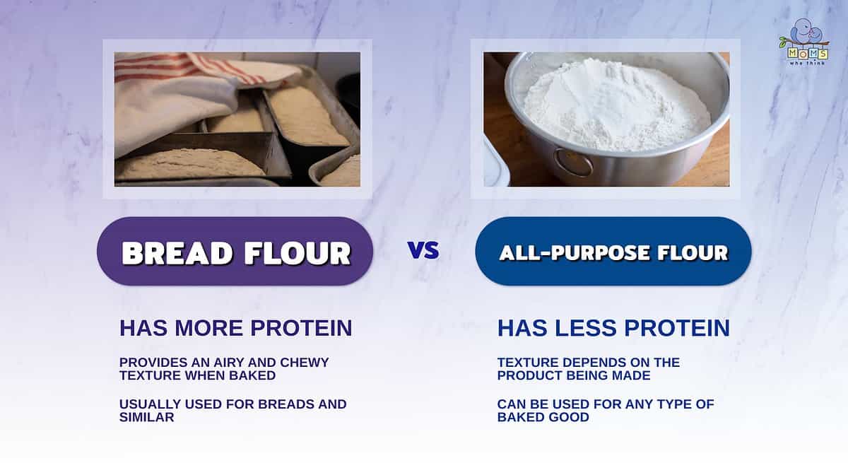 Infographic comparing bread flour and all-purpose flour.