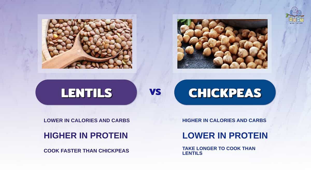 Infographic comparing lentils and chickpeas.