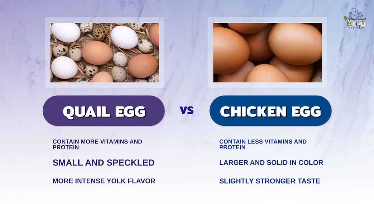 Infographic comparing quail and chicken eggs.