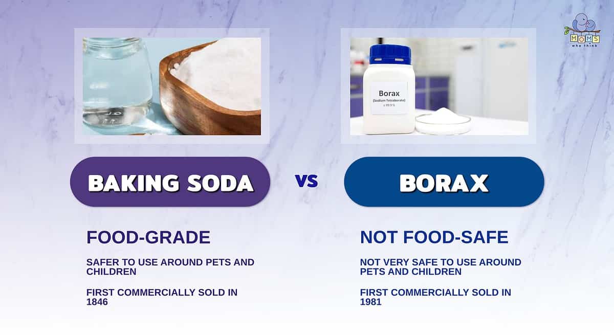Infographic showing the differences between baking soda and borax.