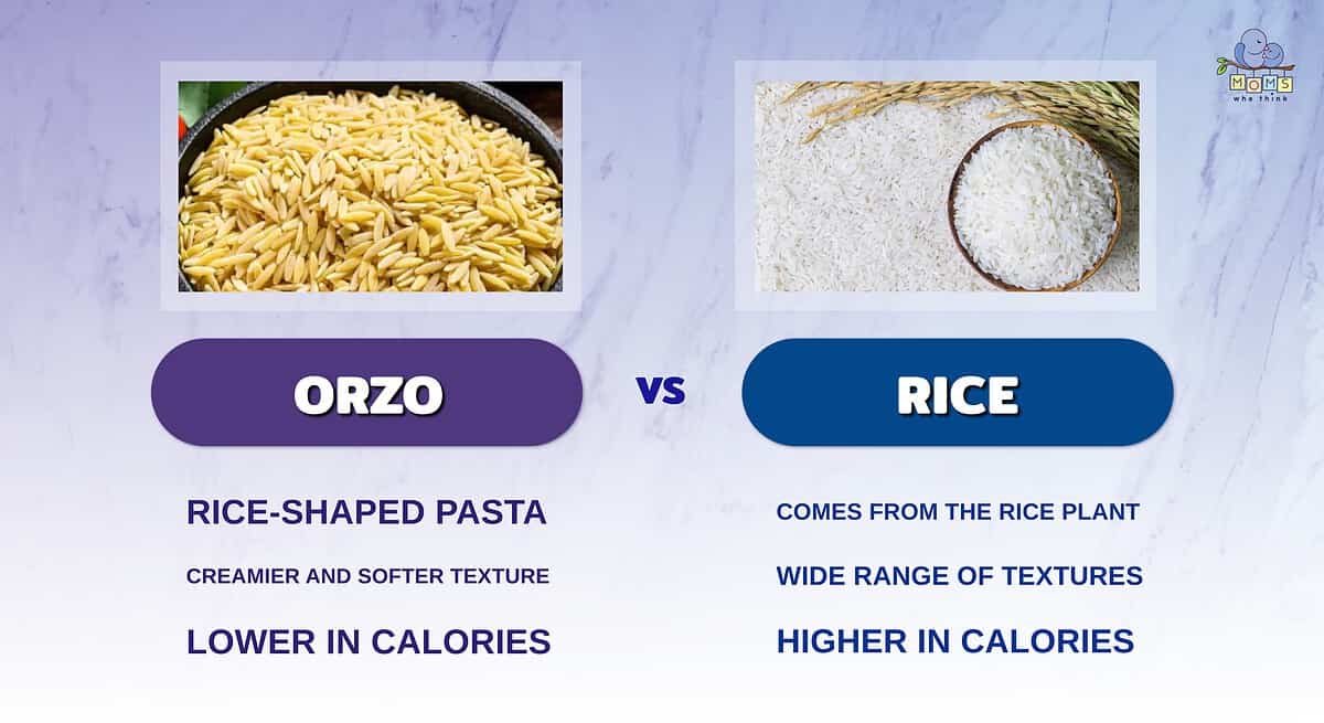 Infographic comparing orzo and rice.