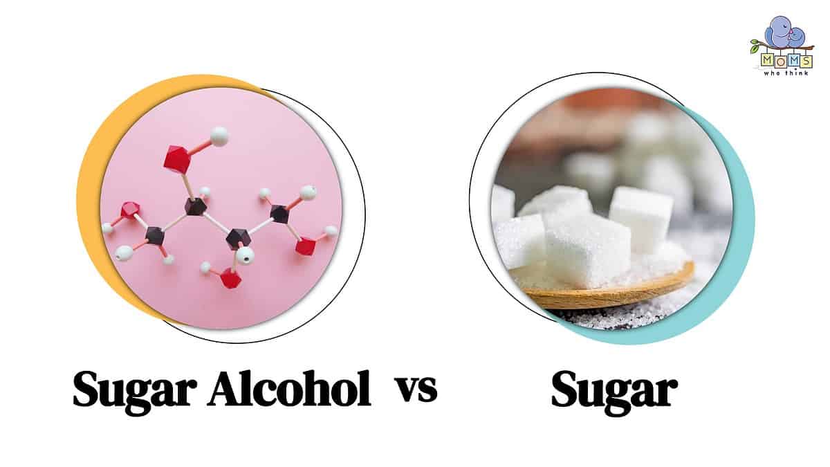 Sugar Alcohol vs Sugar