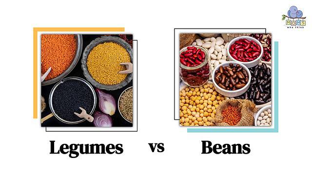 Legumes vs Beans