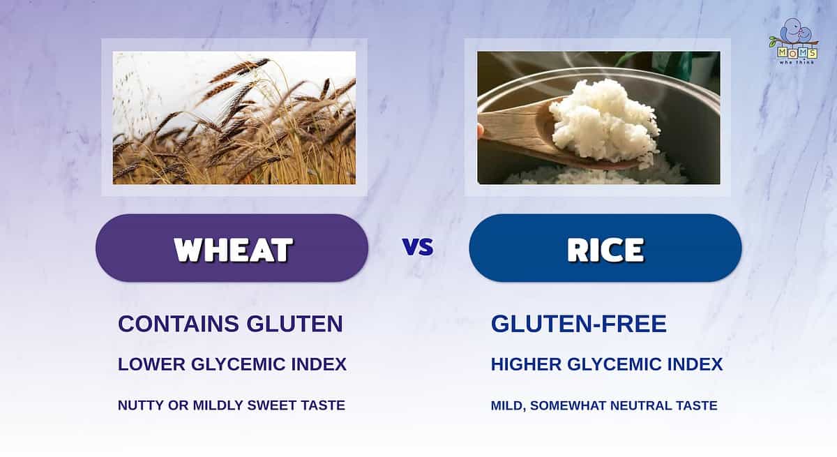 Infographic showing the differences between wheat and rice.